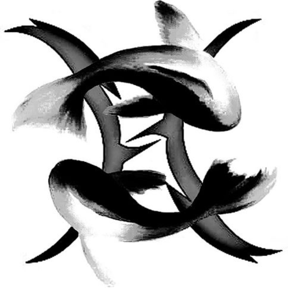 Meet your Posher, Gabe